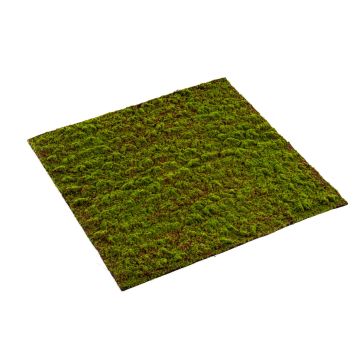 Tapis de mousse grimmia artificiel FERMIN, vert, 100x100cm Tapis de mousse grimmia artificiel FERMIN, vert, 100x100cm