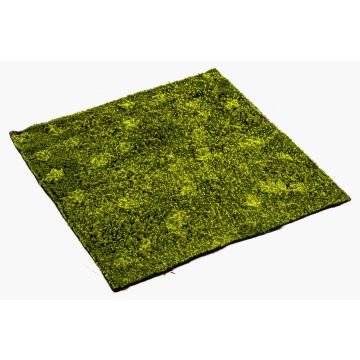 Tapis de mousse hypnum artificiel FERMIN, vert, 100x100cm Tapis de mousse hypnum artificiel FERMIN, vert, 100x100cm