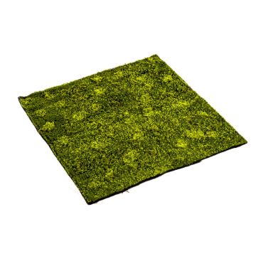Tapis de mousse hypnum artificiel FERMIN, vert, 100x100cm Tapis de mousse hypnum artificiel FERMIN, vert, 100x100cm