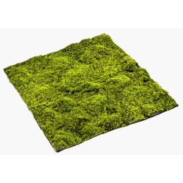 Tapis de mousse de sphaigne artificiel FERMIN, vert, 100x100cm Tapis de mousse de sphaigne artificiel FERMIN, vert, 100x100cm