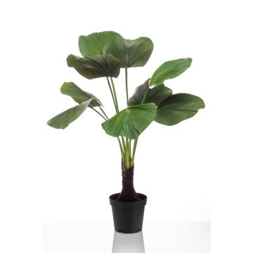 Palmier Licuala artificiel BERANT, 130cm