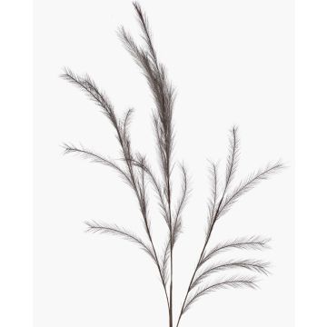 Branche artificielle Panicules de stipa YECORA, gris, 130cm