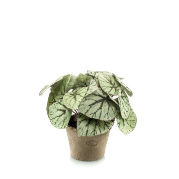 Bégonia rex artificiel MEIRA en pot en terre cuite, touffu, vert-gris, 25cm