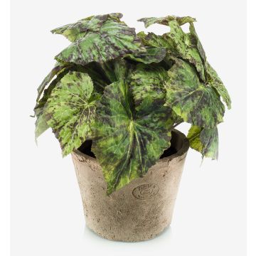Bégonia rex artificiel MEIRA en pot en terre cuite, touffu, vert-noir, 25cm