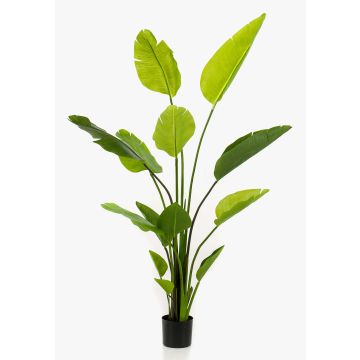 Strelitzia artificiel BEDAR, vert, 150cm