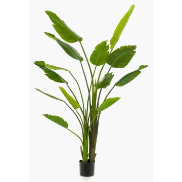 Strelitzia artificiel BEDAR, vert, 180cm
