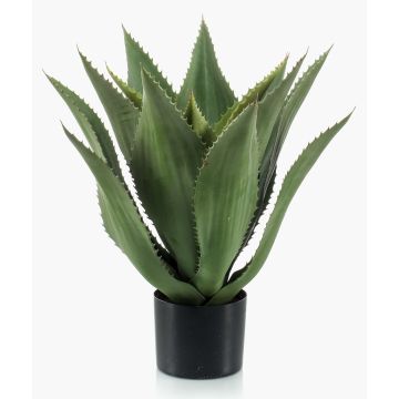 Agave artificiel FERNANDA, vert, 55cm