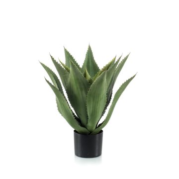 Agave artificiel FERNANDA, vert, 55cm