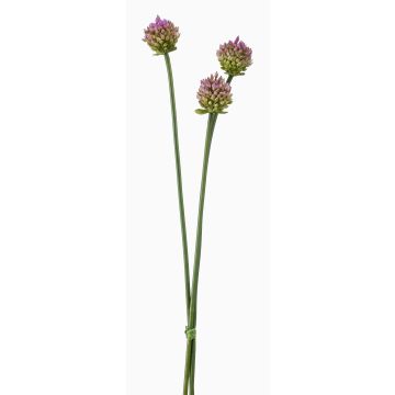 Bouquet d'Alliums artificiels LAMDA, violet-vert, 65cm