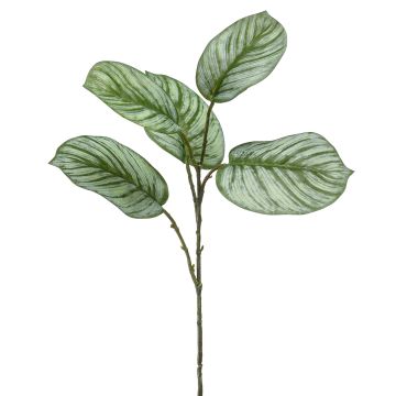 Branche artificielle Calathea Orbifolia ALNIYAT, vert-blanc, 75cm