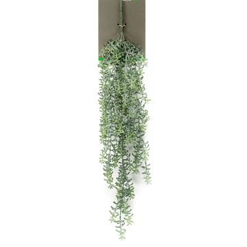 Suspension artificielle Rhipsalis TUREIS, sur piquet, vert-gris, 70cm