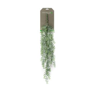 Suspension artificielle Rhipsalis TUREIS, sur piquet, vert-gris, 70cm