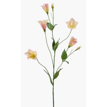 Faux Lisianthus PAZAN, rose-crème, 70cm