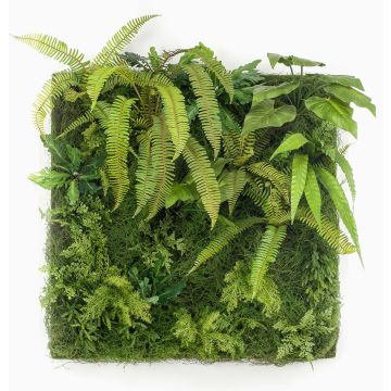 Mur végétal artificiel ALTERE, fougère et alocasia, vert, 100x100cm