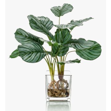 Calathea Orbifolia artificiel AGINA, pot en verre, vert-blanc, 45cm