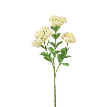 Fleur de sédum artificielle EUFRASIA, crème, 55cm Fleur de sédum artificielle EUFRASIA, crème, 55cm