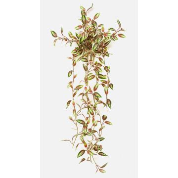 Plante artificielle Tradescantia zebrina DIHALLO sur tige, retombante, vert-rouge, 70 cm Plante artificielle Tradescantia zebrina DIHALLO sur tige, retombante, vert-rouge, 70 cm