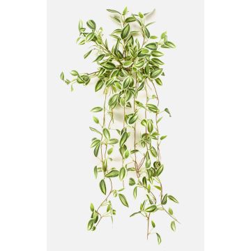 Plante artificielle Tradescantia zebrina DIHALLO sur tige, retombante, vert-blanc, 70 cm Plante artificielle Tradescantia zebrina DIHALLO sur tige, retombante, vert-blanc, 70 cm
