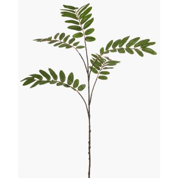 Branche décorative de mahonia MANIESA, verte, 105 cm