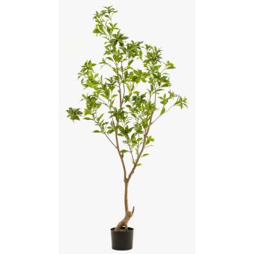 Arbre artificiel de thé GUSHON, tronc artificiel, vert, 185cm