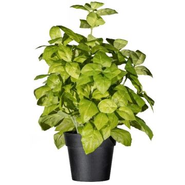 Herbe artificielle : basilic WONDYR dans un pot décoratif, vert, 30 cm Herbe artificielle : basilic WONDYR dans un pot décoratif, vert, 30 cm