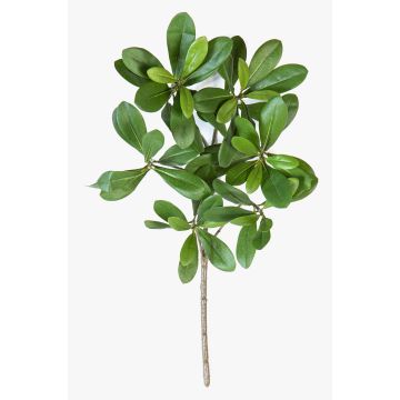 Branche artificielle de klebsamen MASON, difficilement inflammable, verte, 40 cm Branche artificielle de klebsamen MASON, difficilement inflammable, verte, 40 cm