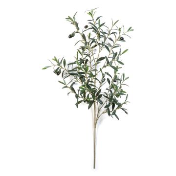 Branche d'olivier artificielle LORRIS, avec fruits, difficilement inflammable, verte, 110 cm Branche d'olivier artificielle LORRIS, avec fruits, difficilement inflammable, verte, 110 cm