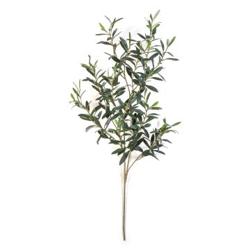 Branche d'olivier artificielle LORRIS, difficilement inflammable, verte, 110cm
