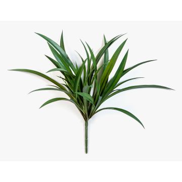 Gazon artificiel Liriope HIMAWARI sur tige, crossdoor, vert, 40 cm