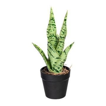Plante succulente artificielle Sanseveria ZORPS en pot décoratif, racines, vert-gris, 27cm Plante succulente artificielle Sanseveria ZORPS en pot décoratif, racines, vert-gris, 27cm