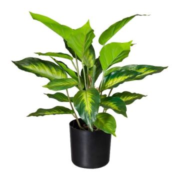 Plante artificielle Dieffenbachia PLUHON, racines, vert foncé, 45 cm Plante artificielle Dieffenbachia PLUHON, racines, vert foncé, 45 cm