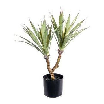 Plante succulente artificielle Agave furcraea gigantea ZIFTE, tronc artificiel, vert, 60cm Plante succulente artificielle Agave furcraea gigantea ZIFTE, tronc artificiel, vert, 60cm