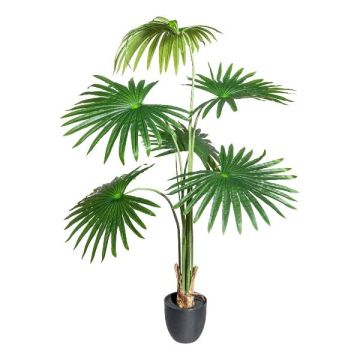 Palmier artificiel Washingtonia FENHAL dans un pot décoratif, 120 cm Palmier artificiel Washingtonia FENHAL dans un pot décoratif, 120 cm