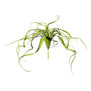Plante succulente artificielle Tillandsia streptophylla KRIFT, piquet, vert, 65cm Plante succulente artificielle Tillandsia streptophylla KRIFT, piquet, vert, 65cm