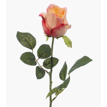 Rose artificielle DIXLEN, rose-pêche, 70 cm, Ø 7 cm Rose artificielle DIXLEN, rose-pêche, 70 cm, Ø 7 cm