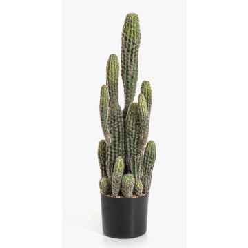 Cactus artificiel San Pedro FARIN, vert, 75 cm