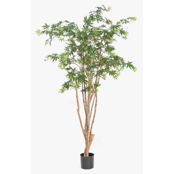 Plante artificielle « Érable japonais » ILIANU, troncs naturels, vert, 180 cm Plante artificielle « Érable japonais » ILIANU, troncs naturels, vert, 180 cm