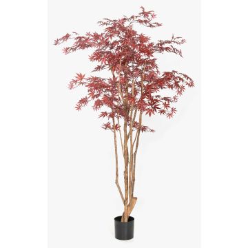 Plante artificielle « Érable japonais » ILIANU, troncs naturels, rouge, 180 cm