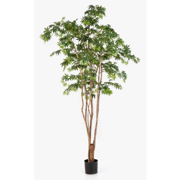 Plante artificielle « Érable japonais » ILIANU, troncs naturels, vert, 240 cm