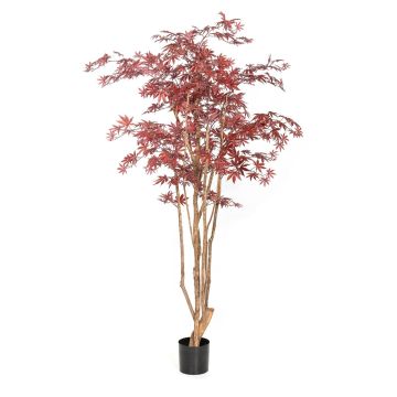 Plante artificielle « Érable japonais » ILIANU, troncs naturels, rouge, 240 cm