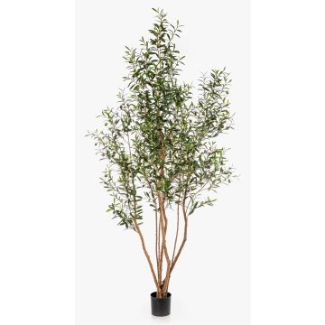 Olivier artificiel JALO avec fruits, tronc naturel, vert, 220cm Olivier artificiel JALO avec fruits, tronc naturel, vert, 220cm