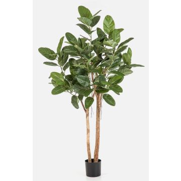 Figuier banians artificiel LEIFA avec lianes, tronc naturel, vert, 170 cm Figuier banians artificiel LEIFA avec lianes, tronc naturel, vert, 170 cm