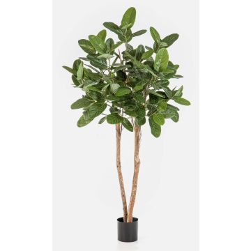 Figuier banyan artificiel LEIFA avec lianes, tronc naturel, vert, 200 cm Figuier banyan artificiel LEIFA avec lianes, tronc naturel, vert, 200 cm