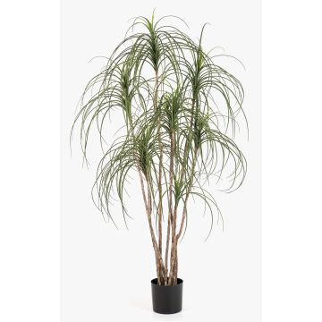 Arbre artificiel « pied d'éléphant » ALWINA, tronc naturel, vert, 150 cm