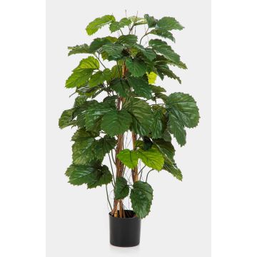 Arbre artificiel « vin de châtaigne » NOWALEE, tronc naturel, vert, 120 cm Arbre artificiel « vin de châtaigne » NOWALEE, tronc naturel, vert, 120 cm