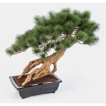 Bonsaï artificiel de pin SARINU dans un bac, 55 cm Bonsaï artificiel de pin SARINU dans un bac, 55 cm