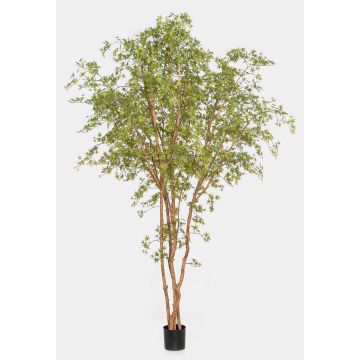 Plante artificielle Érable japonais ZEDRIC, tronc naturel, vert, 330 cm
