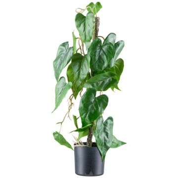 Plante artificielle « fleur de flamant rose » TROMLEN, racines aériennes, verte, 65 cm Plante artificielle « fleur de flamant rose » TROMLEN, racines aériennes, verte, 65 cm