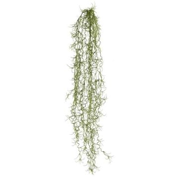 Plante succulente artificielle Tillandsia usneoides BLIMFY, piquet, retombante, vert foncé, 80cm