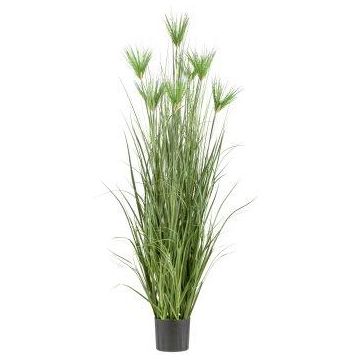 Papyrus artificiel WURKA, vert, 180cm